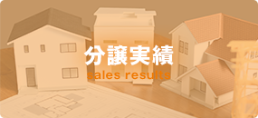 分譲実績
